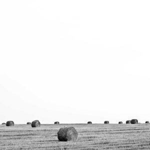 Northpeak Aero Laptop 14" Variant 556